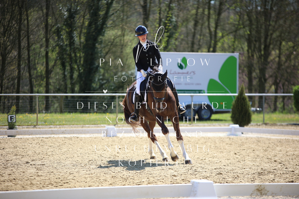 IMGT2606 | pl-fotografie