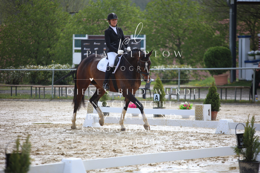 IMGT4630 | pl-fotografie