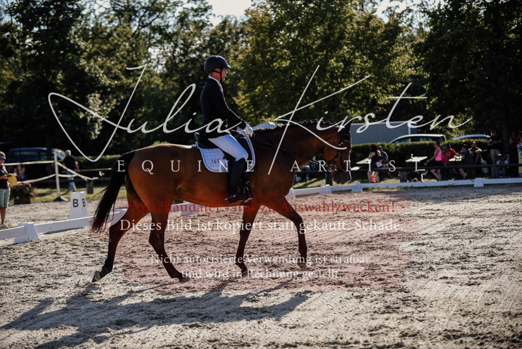 DSC_0604 | Pferde- und Turnierfotografie in Westsachsen. Pferdeportraits, Auftragszeichnungen und intuitive Kunst.