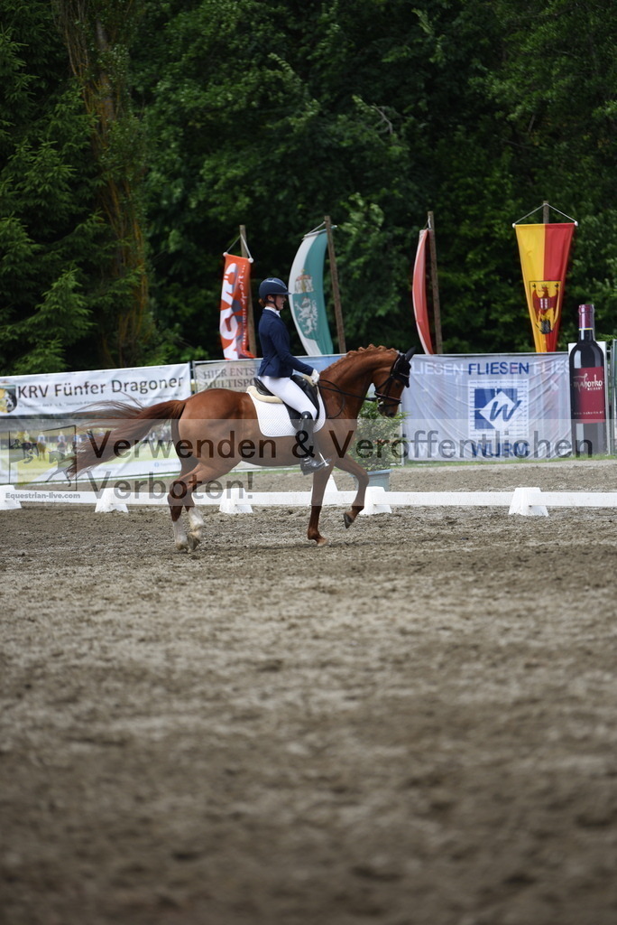 DSC_0978 | equestrian-live-com