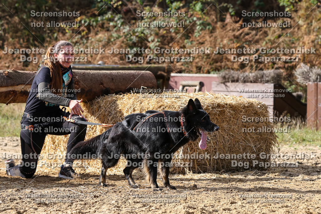 Dog Paparazzi - Strongdog 10-25-5154 | Dog Paparazzi Jeanette Grottendiek Fotografie & Videografie - Realisiert mit Pictrs.com