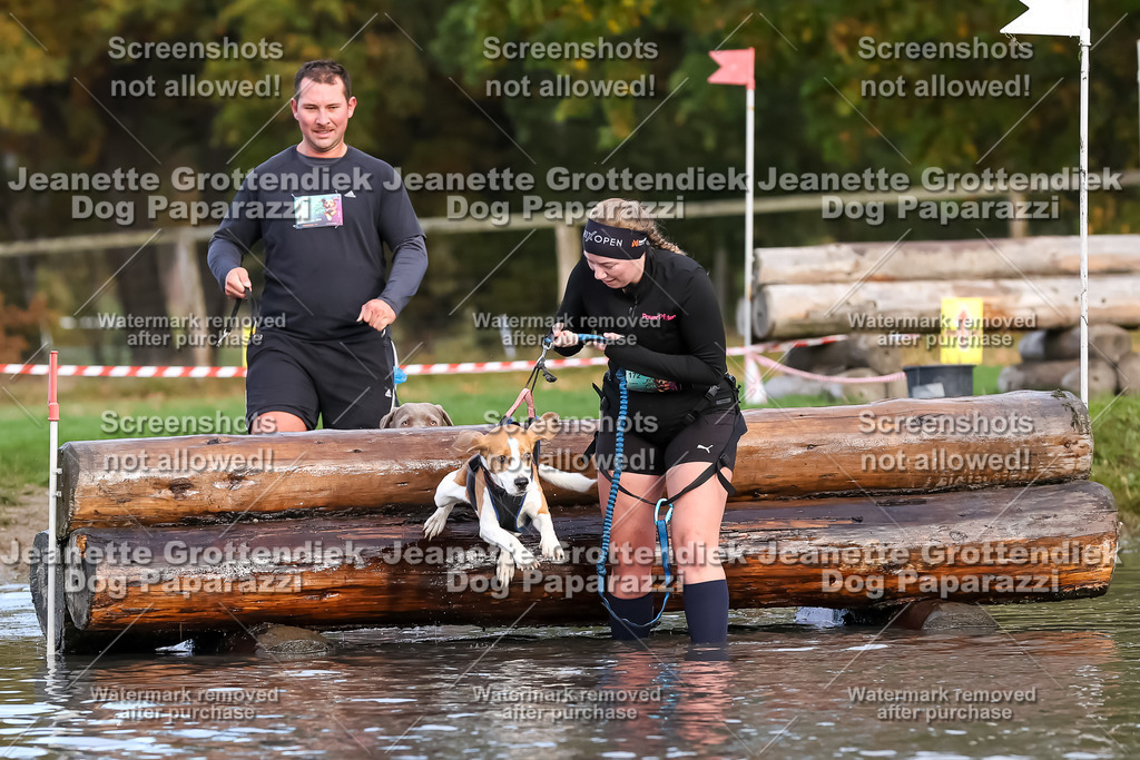Dog Paparazzi - Strongdog 10-25-6984 | Dog Paparazzi Jeanette Grottendiek Fotografie & Videografie - Realisiert mit Pictrs.com