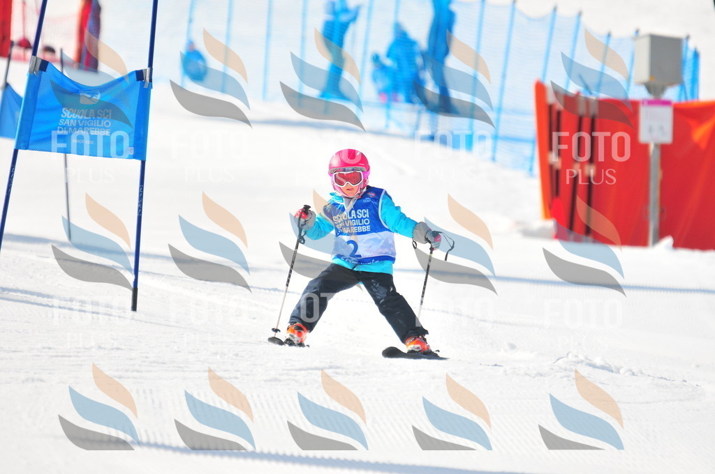 B9147 | holidayphoto