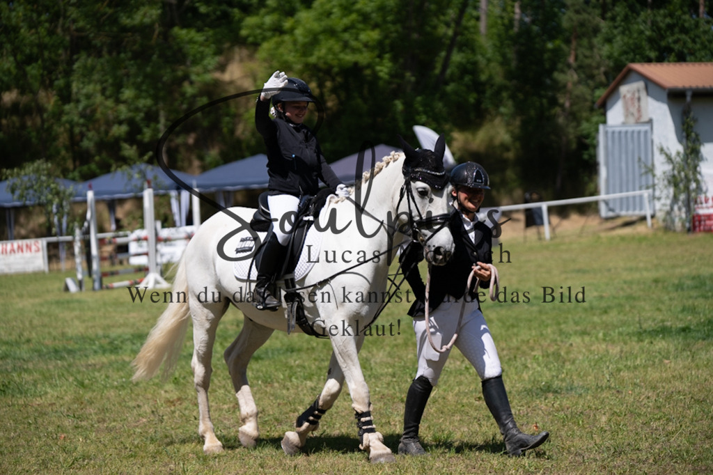 A7V06278 | Pferdefotograf