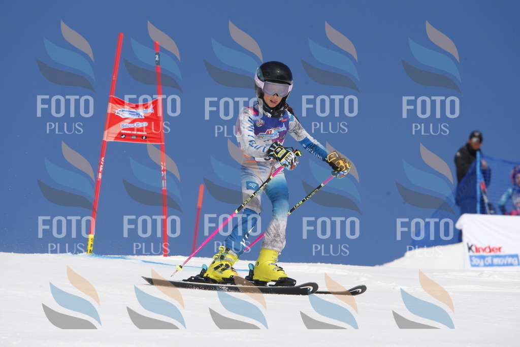 _W1G0785 | holidayphoto