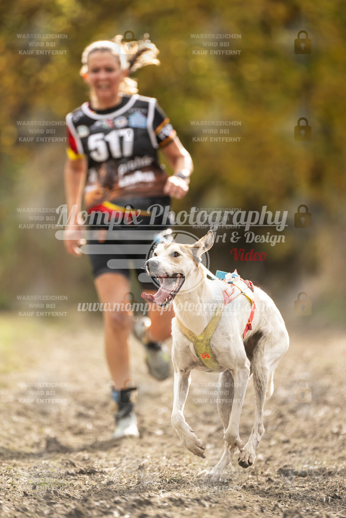 MompixPhotography_ICF_WC_2024_SA_Run_-533 | PayLife
