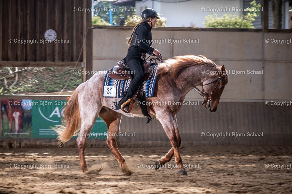 AQB08603 | BS-foto