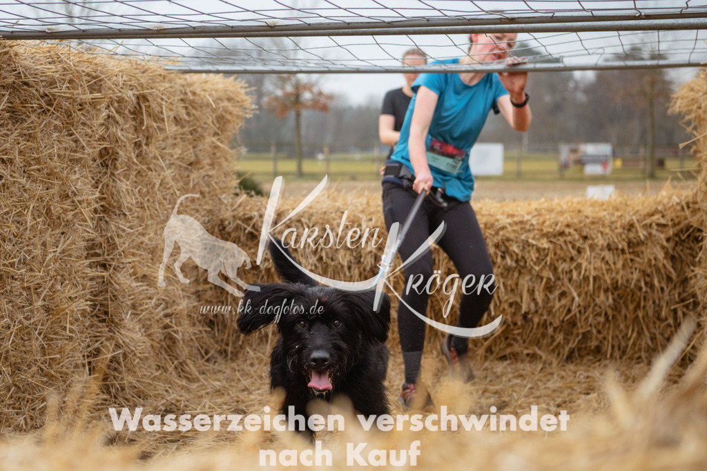 0817_ZZ92368 | kk-dogfotos