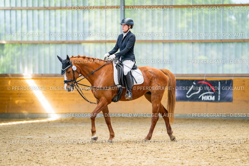 DSC08530 | Pferdegrafie