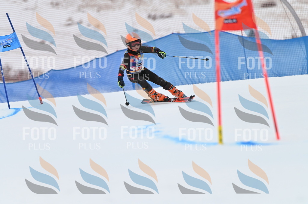 BGV_9881 | holidayphoto