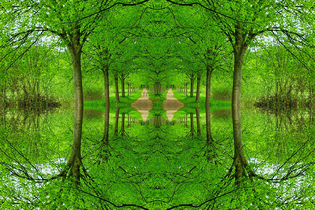 Die Allee | Moderne Digital Art – Exklusive Kunstwerke für dein Zuhause
Entdecke einzigartige Digital Art und verleihe deinen Räumen eine moderne und stilvolle Atmosphäre. Unsere hochwertigen Kunstdrucke kombinieren innovative Technik mit künstlerischer Kreativität und bringen abstrakte, geometrische und futuristische Designs direkt an deine Wand.
✔ Hochauflösende Drucke in brillanten Farben
✔ Exklusive Motive von talentierten Digital Artists
✔ Verschiedene Formate für jeden Raum und Stil
✔ Perfekt als Wandkunst für Wohnzimmer, Büro oder Galerie
Lass dich von unserer modernen, abstrakten und minimalistischen Kunst inspirieren und finde dein neues Lieblingsmotiv! Jetzt bestellen und dein Zuhause mit hochwertiger Digital Art verschönern.
 - Realisiert mit Pictrs.com