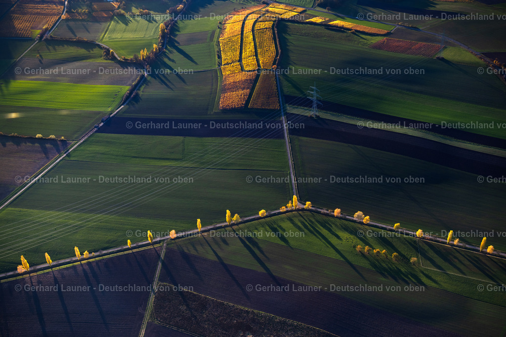 4042863 | Weinberge am Busigberg Großheubach