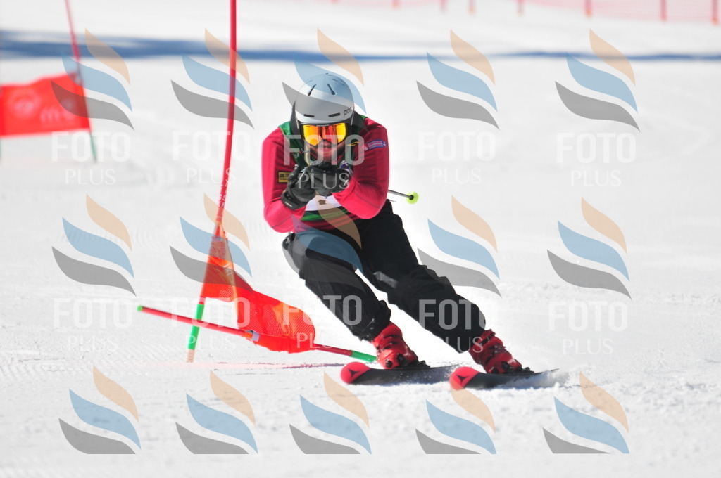 C3372 | holidayphoto