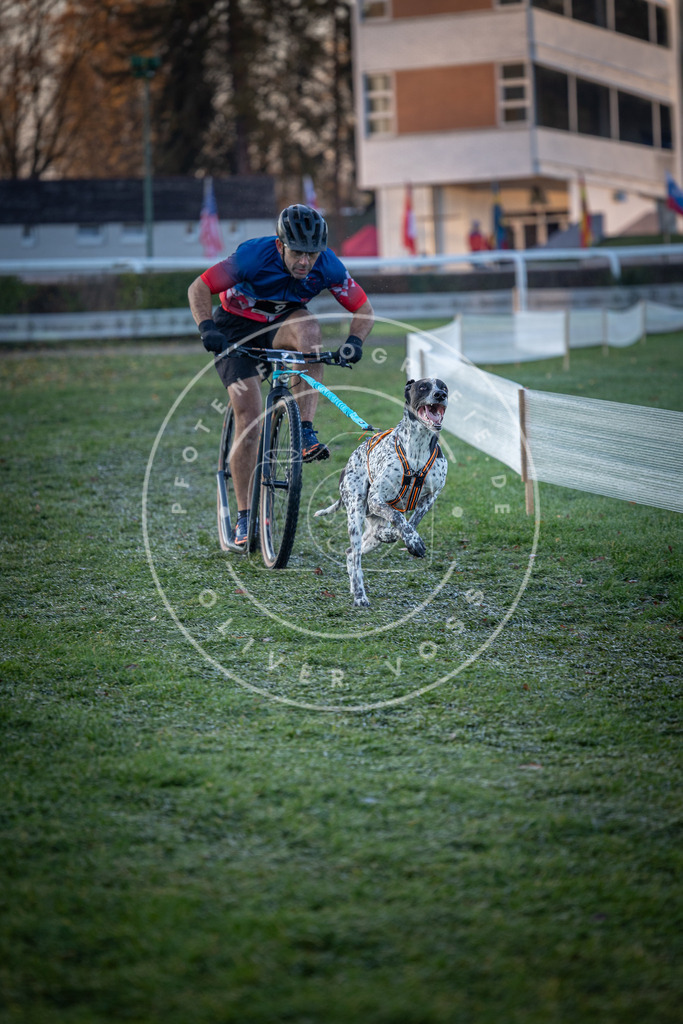 CaniXpix_0L8A1053 | Hundefotografie, Tierfotograf, Pfotenfotografie, Fotoshooting Hund, Hunde Portrait, Hundesport, Hundeportraits, Heideshooting, Hunde, Sportfotograf, Hundefotograf, Turnierhundsport, THS,  - Realisiert mit Pictrs.com