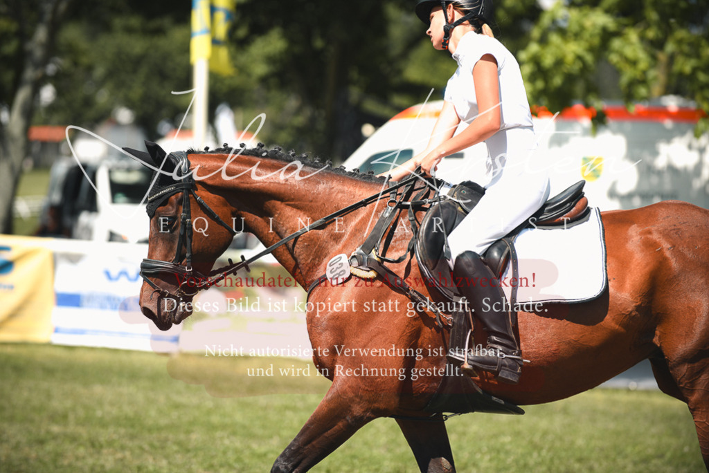 DSC_6653 | Pferde- und Turnierfotografie in Westsachsen. Pferdeportraits, Auftragszeichnungen und intuitive Kunst.