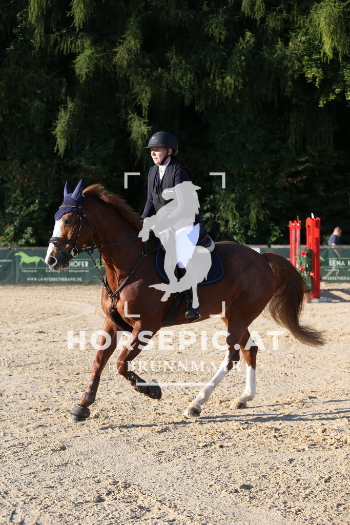 DL2Q7233 | Willkommen bei Brunnmayr - Design & Fotografie – Ihrem Spezialisten für Reitturniere und Pferdeveranstaltungen in Oberösterreich, Salzburg und Bayern! Seit über 17 Jahren sind wir leidenschaftlich dabei.