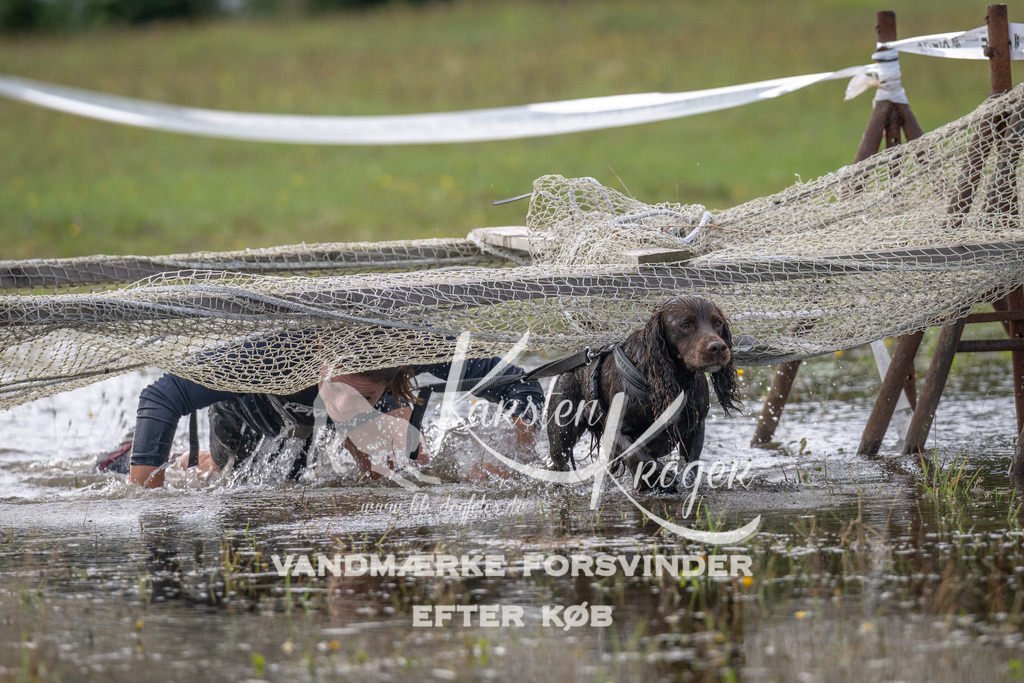 1057_ZZ91672 | kk-dogfotos