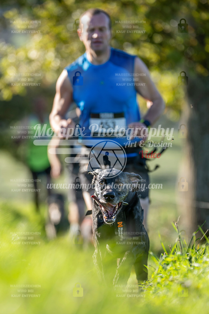 MompixPhotography_20TSB_E3_Run-69 | PayLife