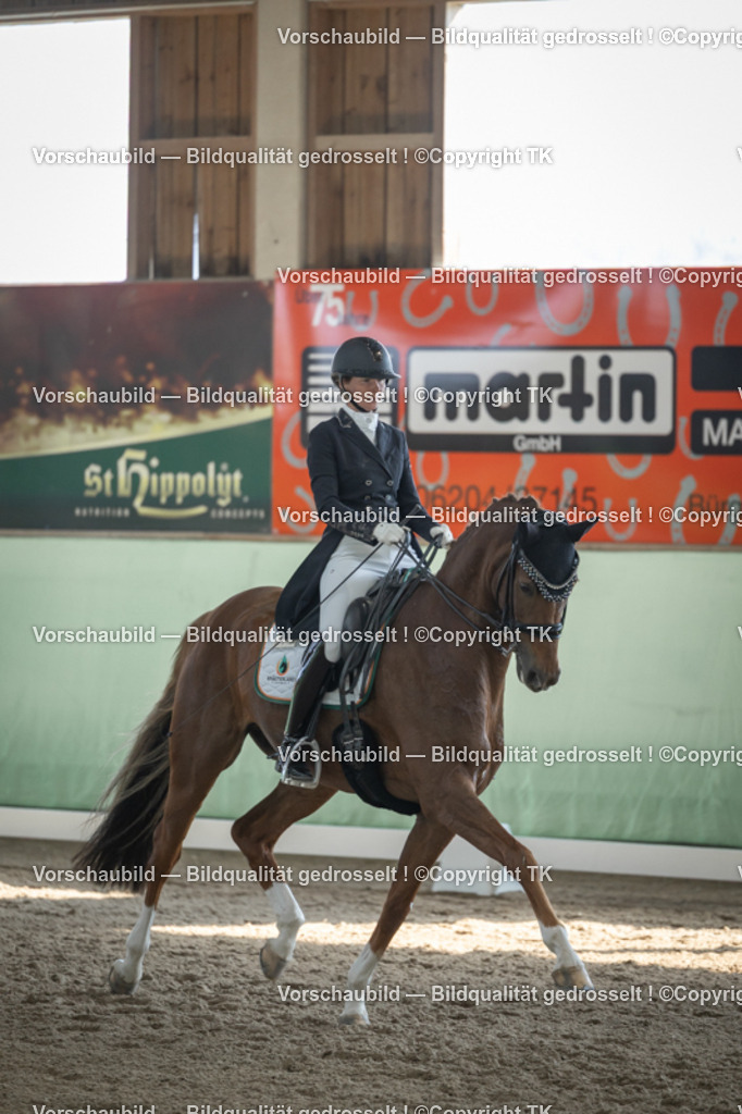 _D5A0094 | Emotionale Pferde- & People-Fotografie rund um Heidelberg, Leimen & Umgebung. Natürliche Fotos von Pferd, Mensch & Familie. Jetzt Termin sichern!