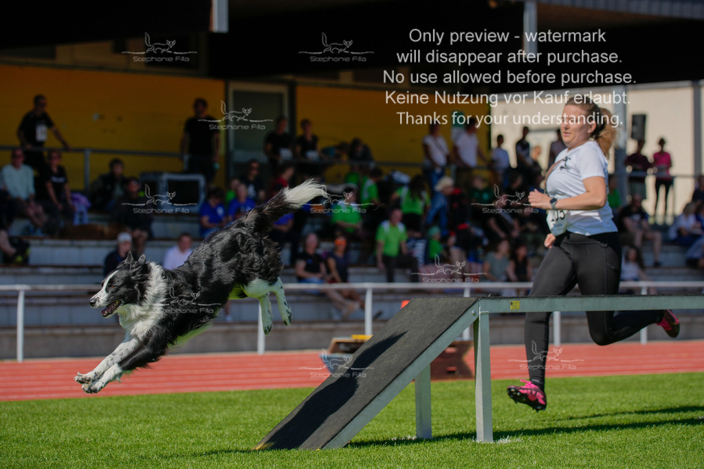 Sonntag_VK Hindernis (43 von 671) | stephaniefillaphotographie - Realisiert mit Pictrs.com