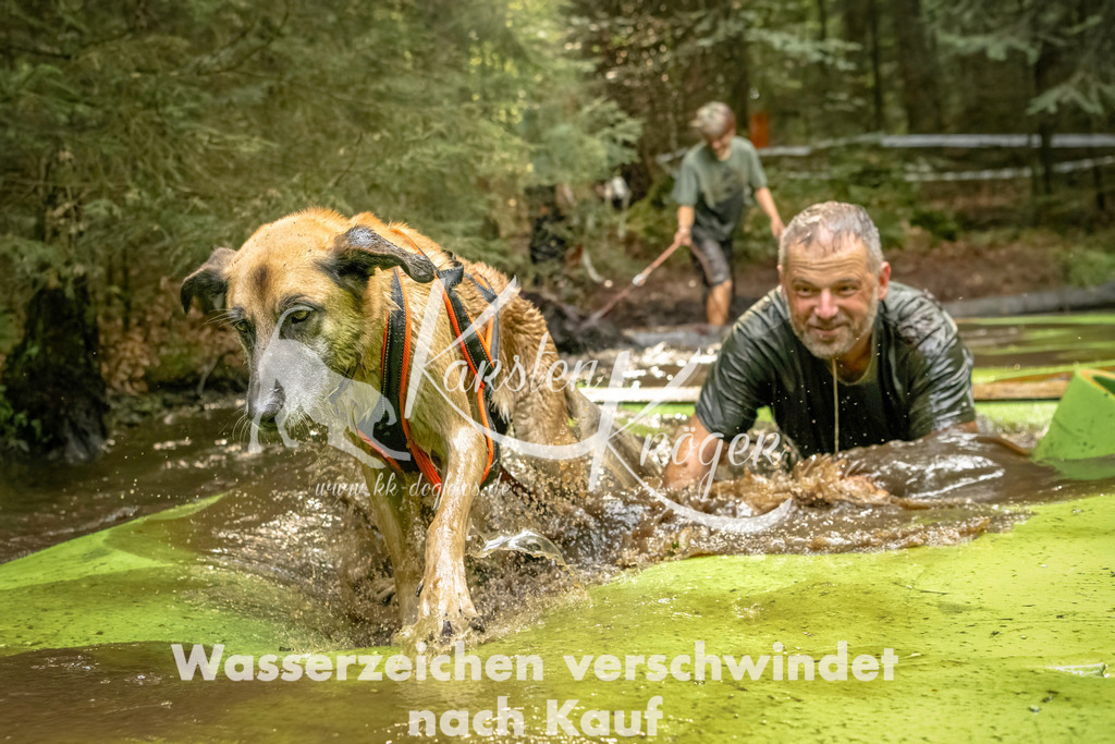 1409_ZZ91216-Bearbeitet | kk-dogfotos