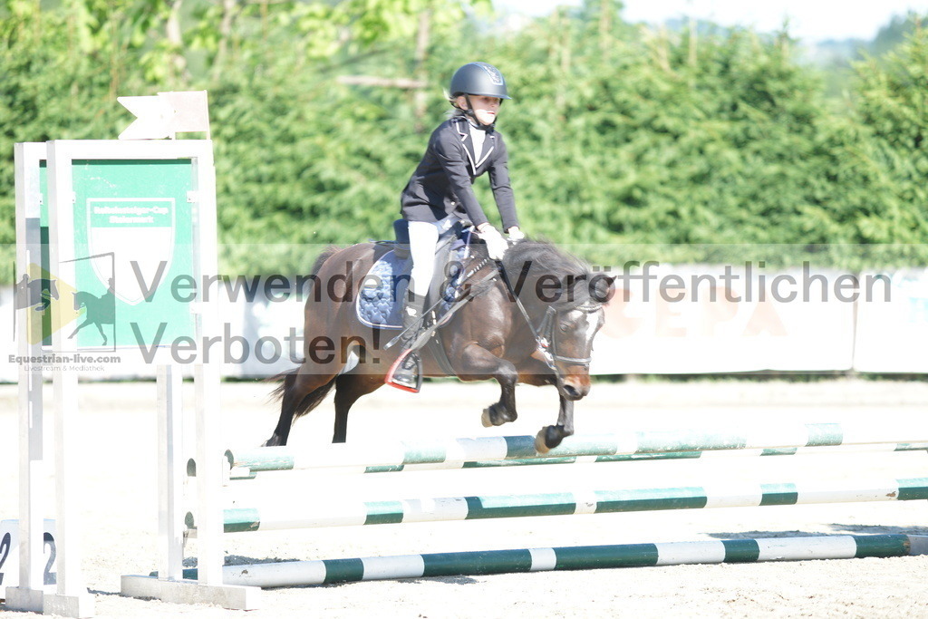 DSC06070 | equestrian-live-com