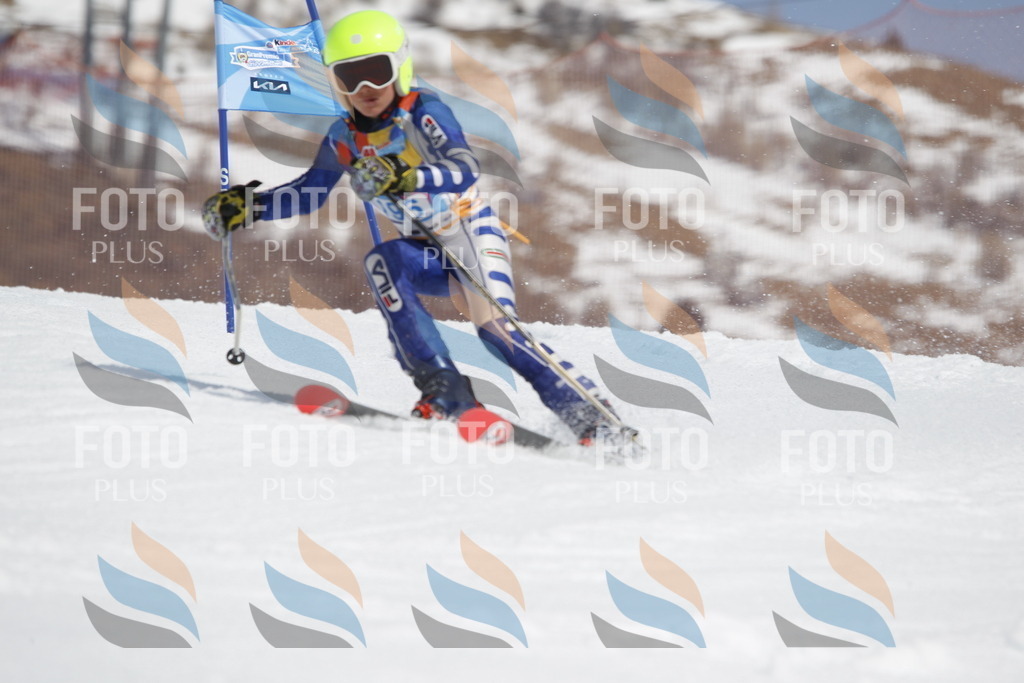 _U3G1966 | holidayphoto