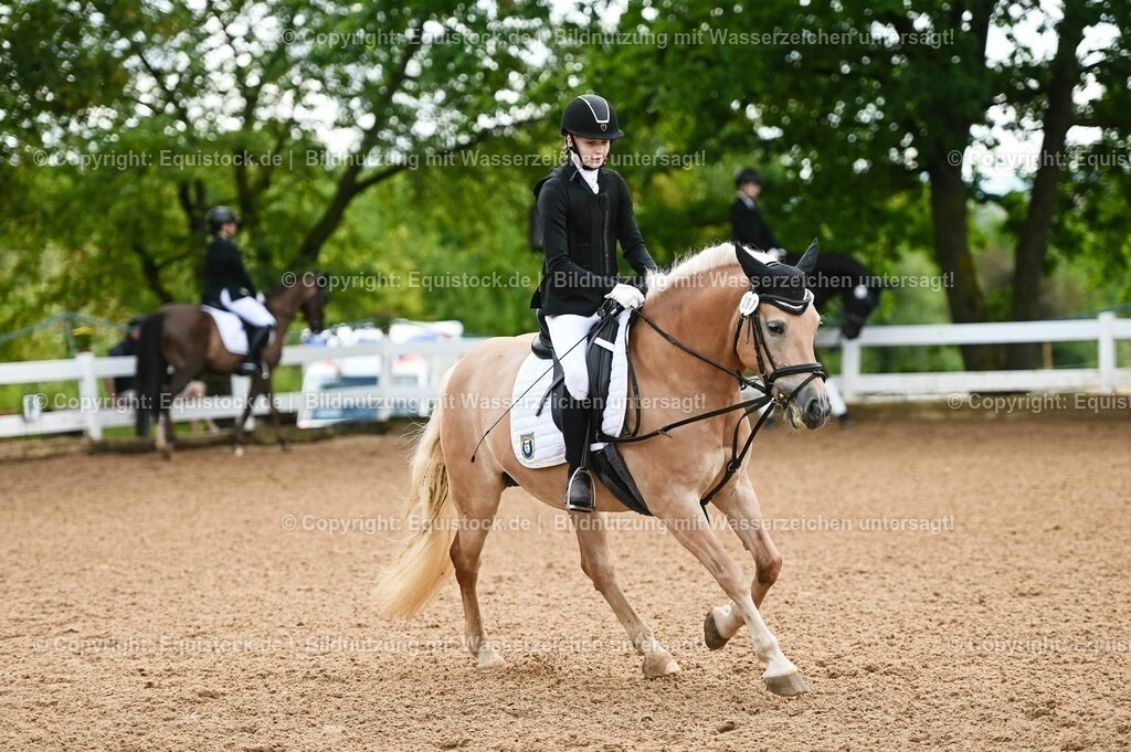 20230716_10-1_Reiter-WB Schritt - Trab - Galopp_0234 | equistock