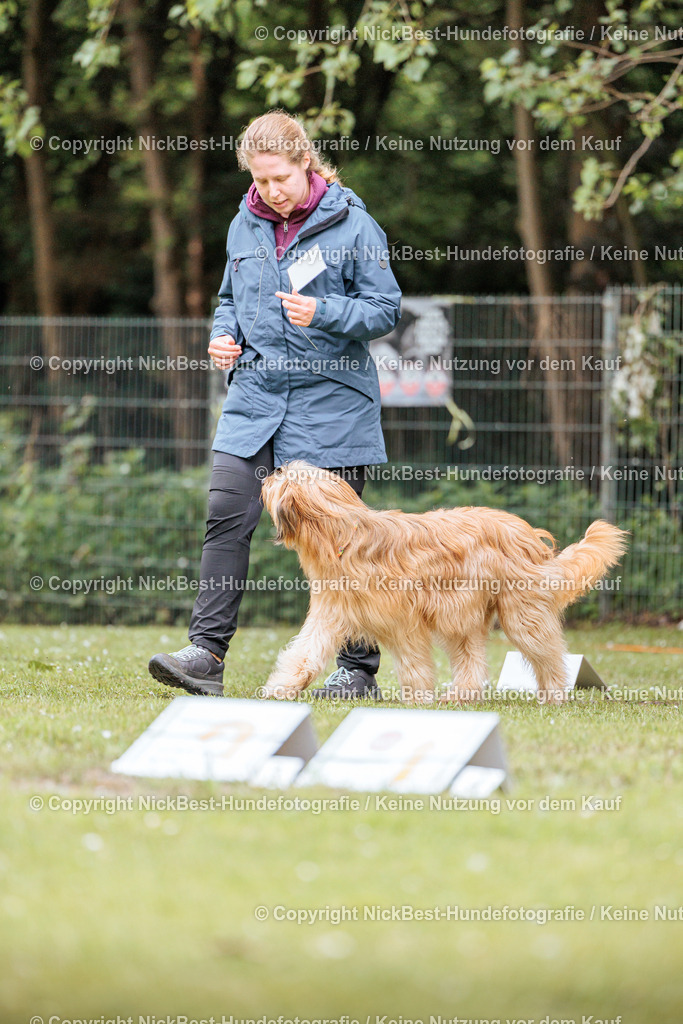 RO-Blumenthal-2026-Nickbest-Hundefotografie-2564 | Dein Hund! Dein Moment! Deine Erinnerungen! Hundefotografie in Bremen Blumenthal. Ich fange die besonderen Momente deines Vierbeiners ein – ob Indoor mit Blitzanlage oder in der freien Natur. Sicher dir dein Moment und dein Termin für eure Erinnerungen.