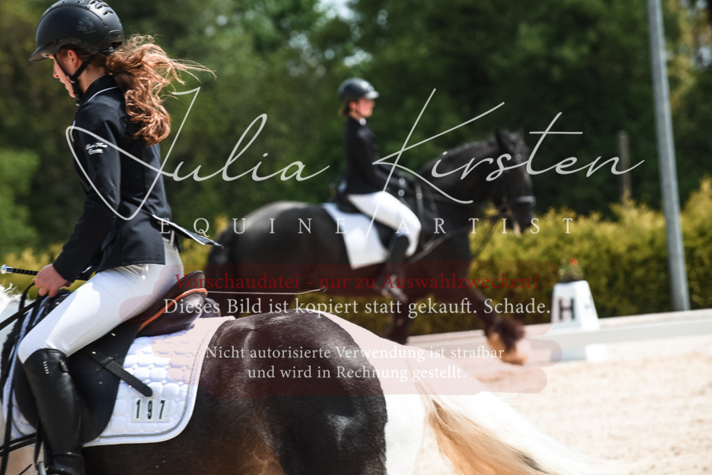 20230518_JK-Röhrsdorf-11-0291 | Pferde- und Turnierfotografie in Westsachsen. Pferdeportraits, Auftragszeichnungen und intuitive Kunst.