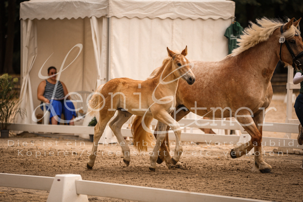 SaSF00075 | Leoni Ertmer Photography - Realisiert mit Pictrs.com