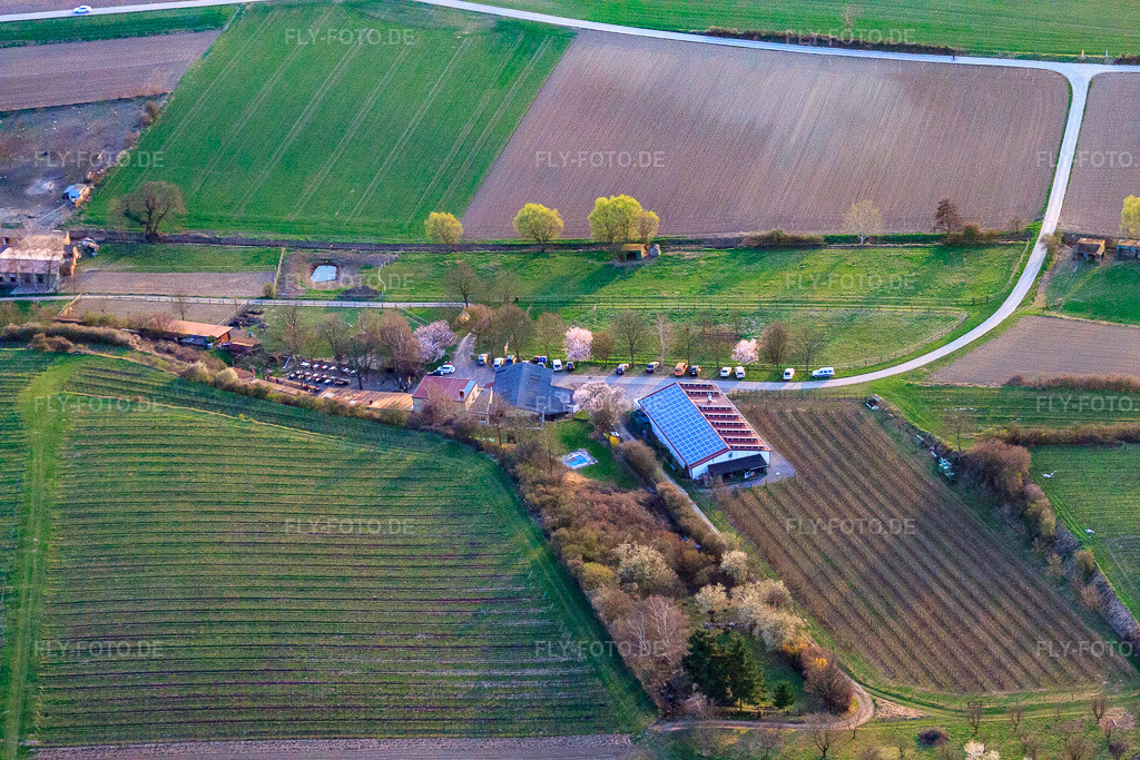 Luftbild: Weingut Anton (Produktion) Am Schambach in Herxheim bei Landau im Bundesland Rheinland-Pfalz in Deutschland. Foto: IMG_38942.jpg vom 25.03.2011 durch Werner Riehm/FLY-FOTO.deWEINGUT ANTON | Weine aus Herxheim bei Landau