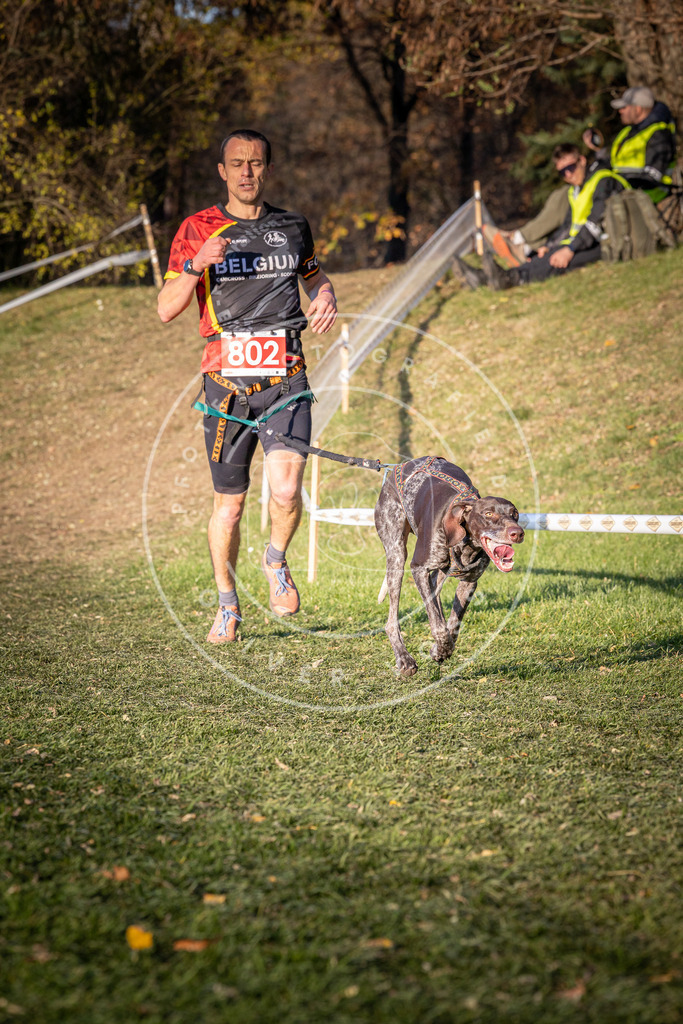 CaniXpix_0L8A0339 | Hundefotografie, Tierfotograf, Pfotenfotografie, Fotoshooting Hund, Hunde Portrait, Hundesport, Hundeportraits, Heideshooting, Hunde, Sportfotograf, Hundefotograf, Turnierhundsport, THS,  - Realisiert mit Pictrs.com