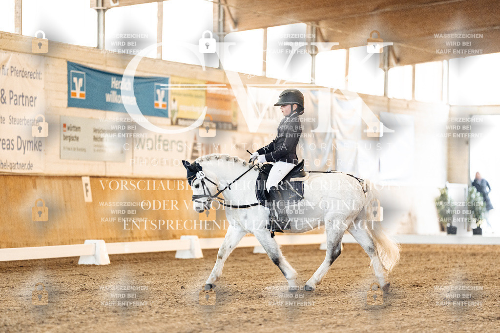CK906443 | Turnierfotografie Pferdefotografie Trier Rheinland-Pfalz Pferdesport Reitsport Tierfotografie Sportfotografie Pferdevideo Pferdevideografie Equestrianvideography equestrianphotography  - Realisiert mit Pictrs.com