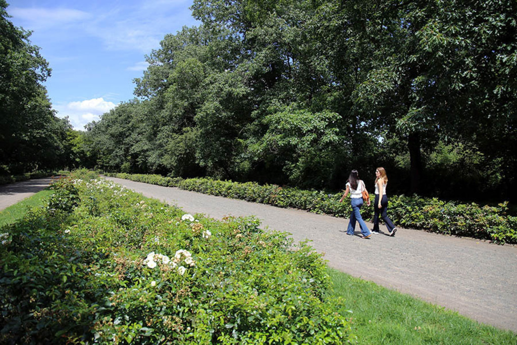 Mariannenpark - Roteichenallee | Entdecke über 20 Kategorien Leipzig-Motive: Foto-Downloads, hochwertige Poster, Leinwand- & Fine-Art-Prints. Jetzt Lieblingsfoto im Bildlexikon Leipzig Shop bestellen!