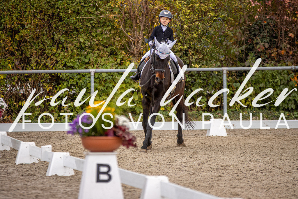 IMG_3578 | Erleben Sie dynamische Sport- und emotionale Tierfotografie in Süddeutschland mit Fotos von Paula. Spezialisiert auf Pferde- und Hundefotografie sowie Sportevents. Kontaktieren Sie mich für einzigartige und ausdrucksstarke Bilder Ihrer besonderen Momente.