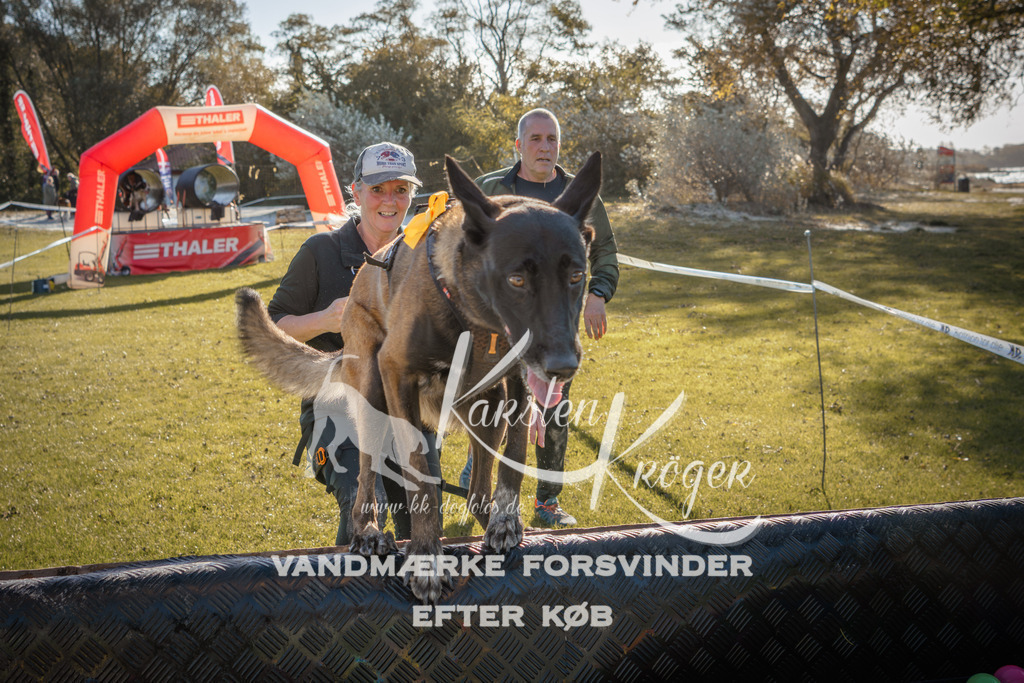 1056_ZZ90944 | kk-dogfotos