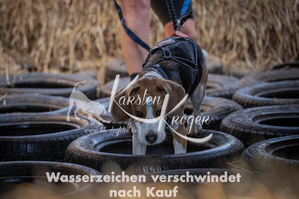 0944_ZZ94246 | kk-dogfotos