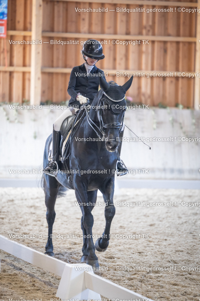 _D5A5084 | Emotionale Pferde- & People-Fotografie rund um Heidelberg, Leimen & Umgebung. Natürliche Fotos von Pferd, Mensch & Familie. Jetzt Termin sichern!