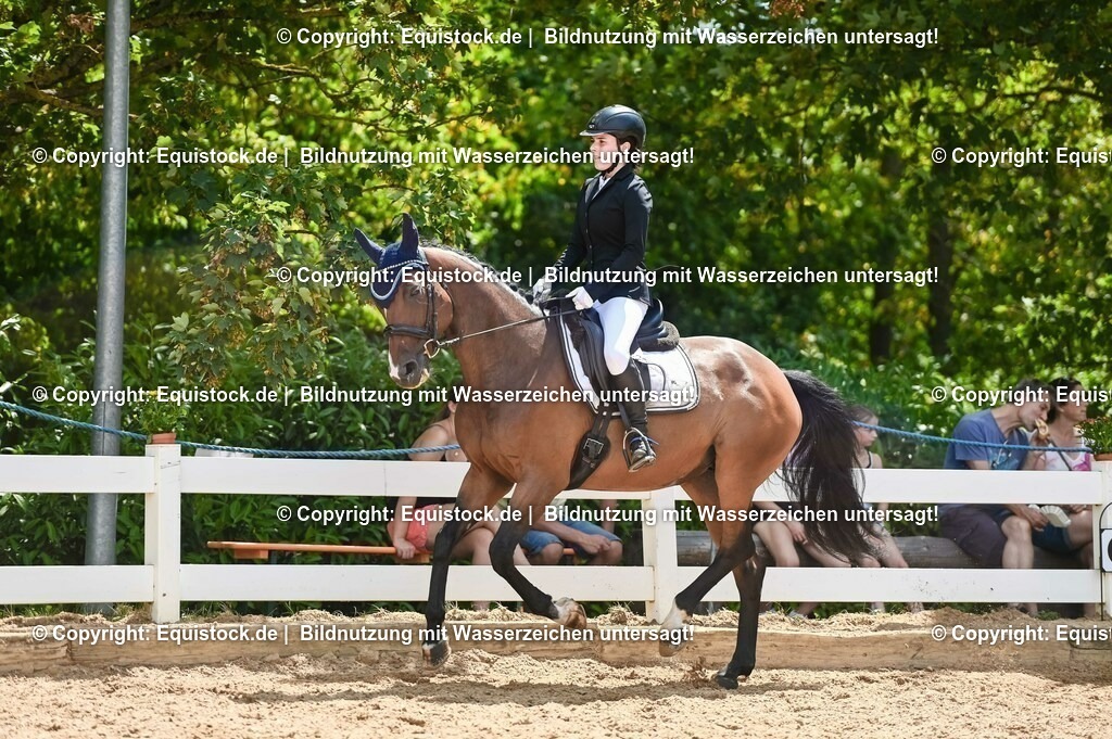 20230715_09_Dressur-WB_0495 | equistock