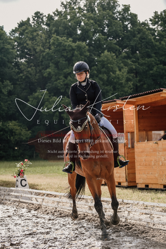 DSC_8460 | Pferde- und Turnierfotografie in Westsachsen. Pferdeportraits, Auftragszeichnungen und intuitive Kunst.