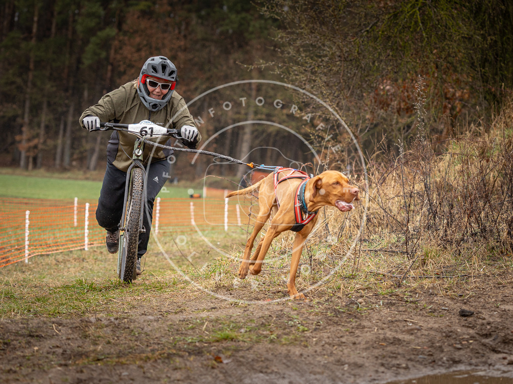 DV3A9515 | Hundefotografie, Tierfotograf, Pfotenfotografie, Fotoshooting Hund, Hunde Portrait, Hundesport, Hundeportraits, Heideshooting, Hunde, Sportfotograf, Hundefotograf, Turnierhundsport, THS,  - Realisiert mit Pictrs.com