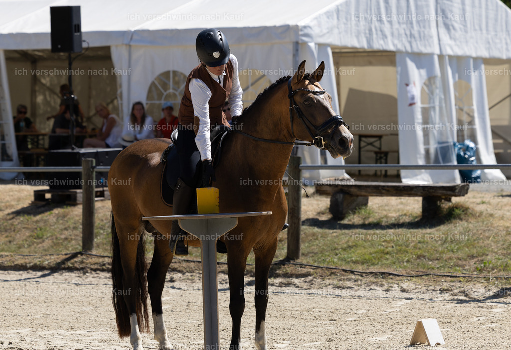 WE_Trail_23_KerstinBernhardt-23 | working equitationturnier fotograf videograf stoibphotography marixx film working equitation deutschland reitsport turnierfotografie eventfotografie equestrian events