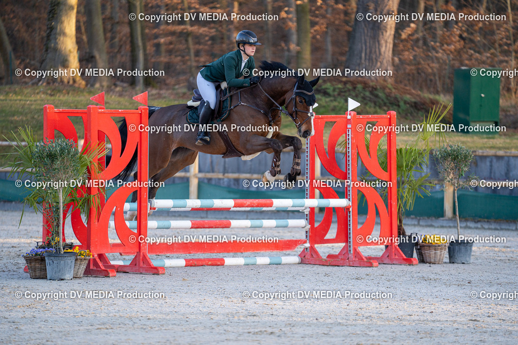 DSC-270 | dv-media-shop - Realisiert mit Pictrs.com