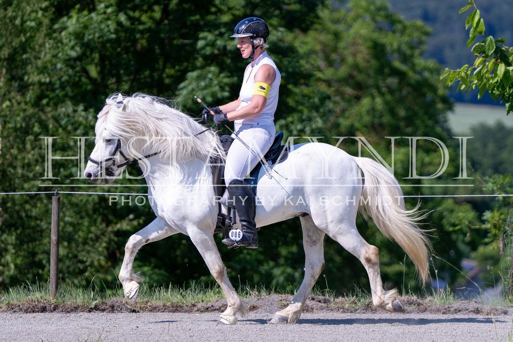 KAI06283 | Ihr sucht einen Fotografen für eure nächste OSI? Ich begleite auch euer Turnier für Islandpferde fotografisch.  - Realisiert mit Pictrs.com