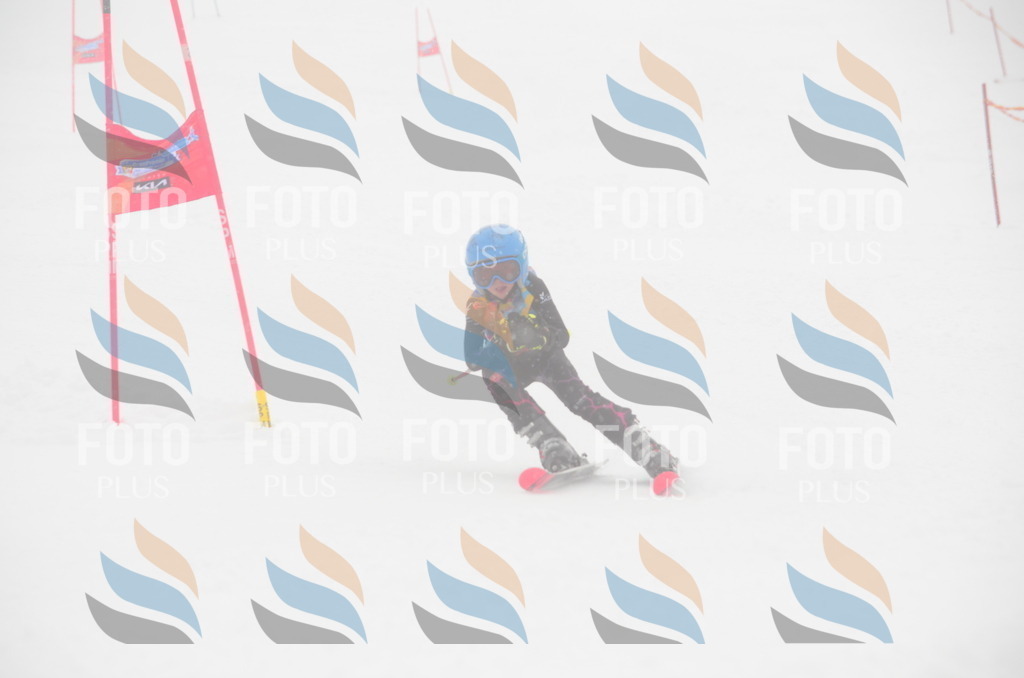 C0811 | holidayphoto