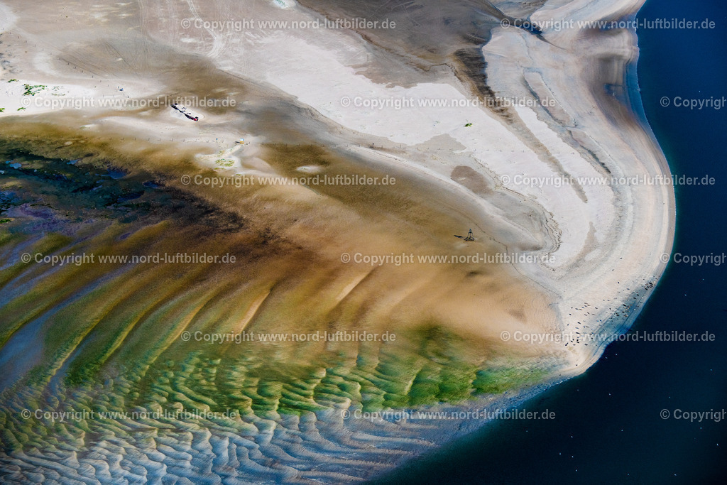 Norderney_Robben_Und_Seehundbank_Ostende_ELS_5585050923 | NORDERNEY 05.09.2023 Küsten- Landschaft und Sandbank - Strukturen Robben und Seehunde auf einer Sandbank " Seehundbank " in Norderney im Bundesland Niedersachsen, Deutschland. // Coastal landscape and sandbank structures Seals and harbor seals on a sandbank "Seehundbank" in Norderney in the state Lower Saxony, Germany. Foto: Martin Elsen