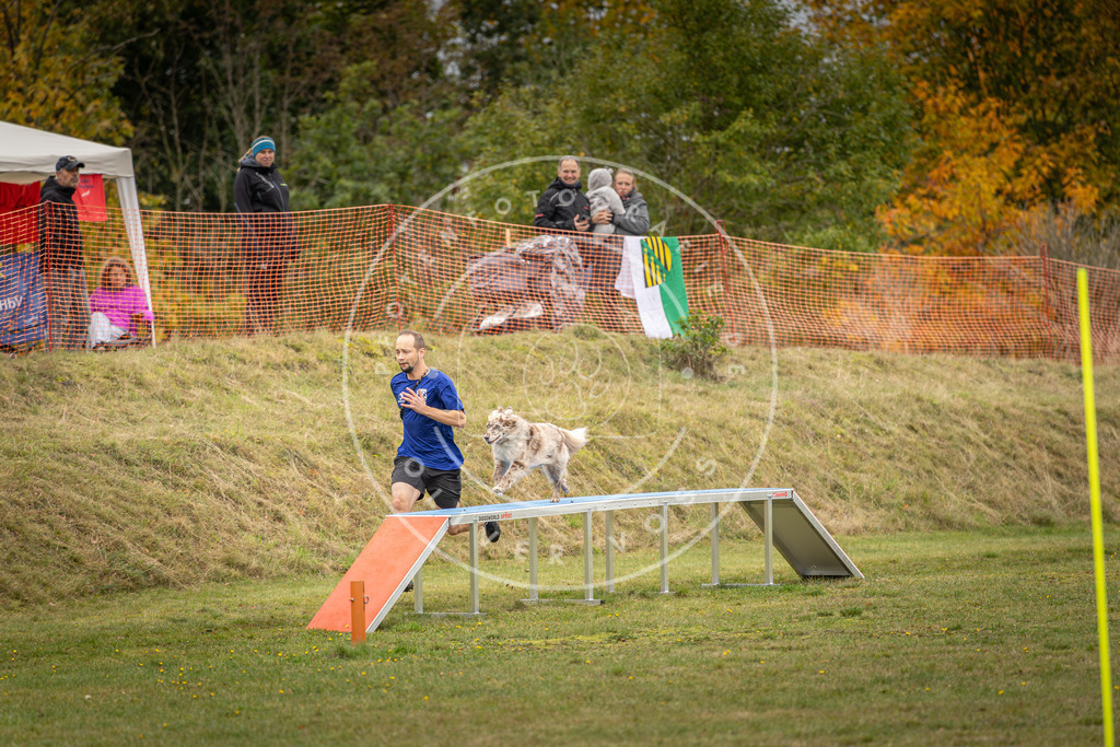 Pfotenfotografie_DV3A5877 | Hundefotografie, Tierfotograf, Pfotenfotografie, Fotoshooting Hund, Hunde Portrait, Hundesport, Hundeportraits, Heideshooting, Hunde, Sportfotograf, Hundefotograf, Turnierhundsport, THS,  - Realisiert mit Pictrs.com