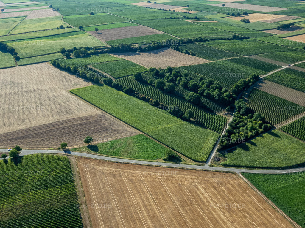 Luftbild: Weinberge und Büsche im Ortsteil Mühlhofen in Billigheim-Ingenheim im Bundesland Rheinland-Pfalz in Deutschland. Foto: P8080031.jpg vom 08.08.2022 durch Werner Riehm/FLY-FOTO.de