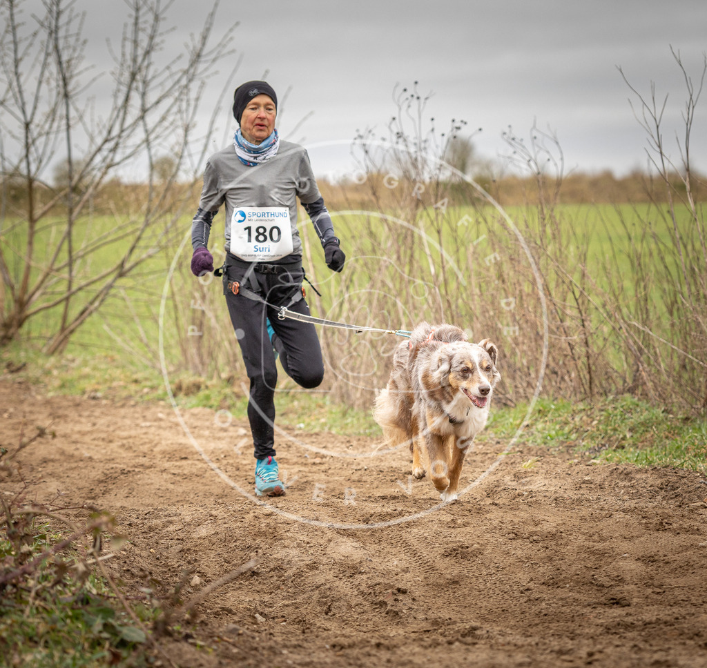 DV3A2097 | Hundefotografie, Tierfotograf, Pfotenfotografie, Fotoshooting Hund, Hunde Portrait, Hundesport, Hundeportraits, Heideshooting, Hunde, Sportfotograf, Hundefotograf, Turnierhundsport, THS,  - Realisiert mit Pictrs.com